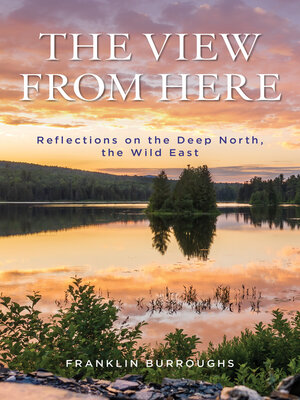 cover image of The View from Here